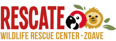 Rescate Wildlife Rescue Center