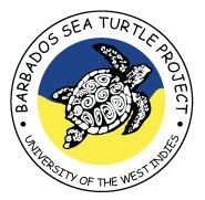 Barbados Sea Turtle Project