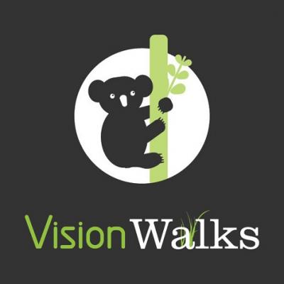 Vision Walks
