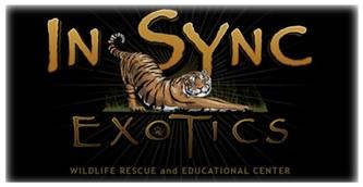 In-Sync Exotics