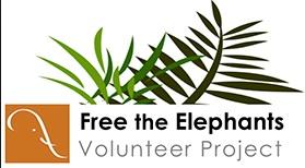 Free the Elephants Volunteer Project