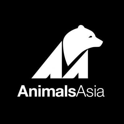 China Bear Sanctuary