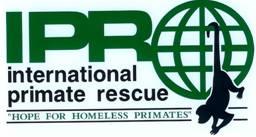 International Primate Rescue