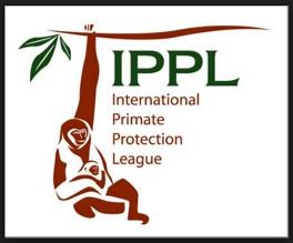 International Primate Protection League (IPPL)