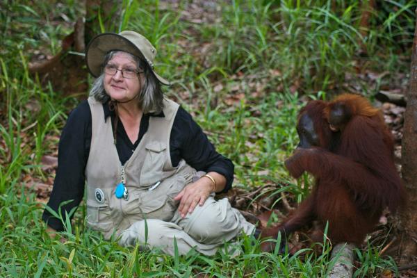 Conoce la selva tropical de Borneo y sus orangutanes