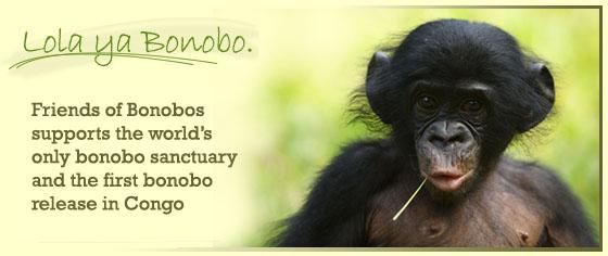 Lola ya Bonobo Sanctuary