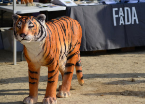Evento Día Mundial del Tigre