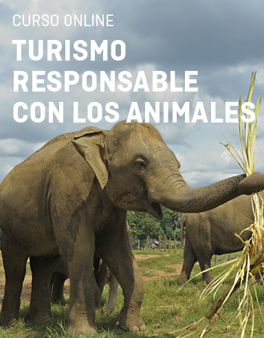 Curso Turismo Responsable